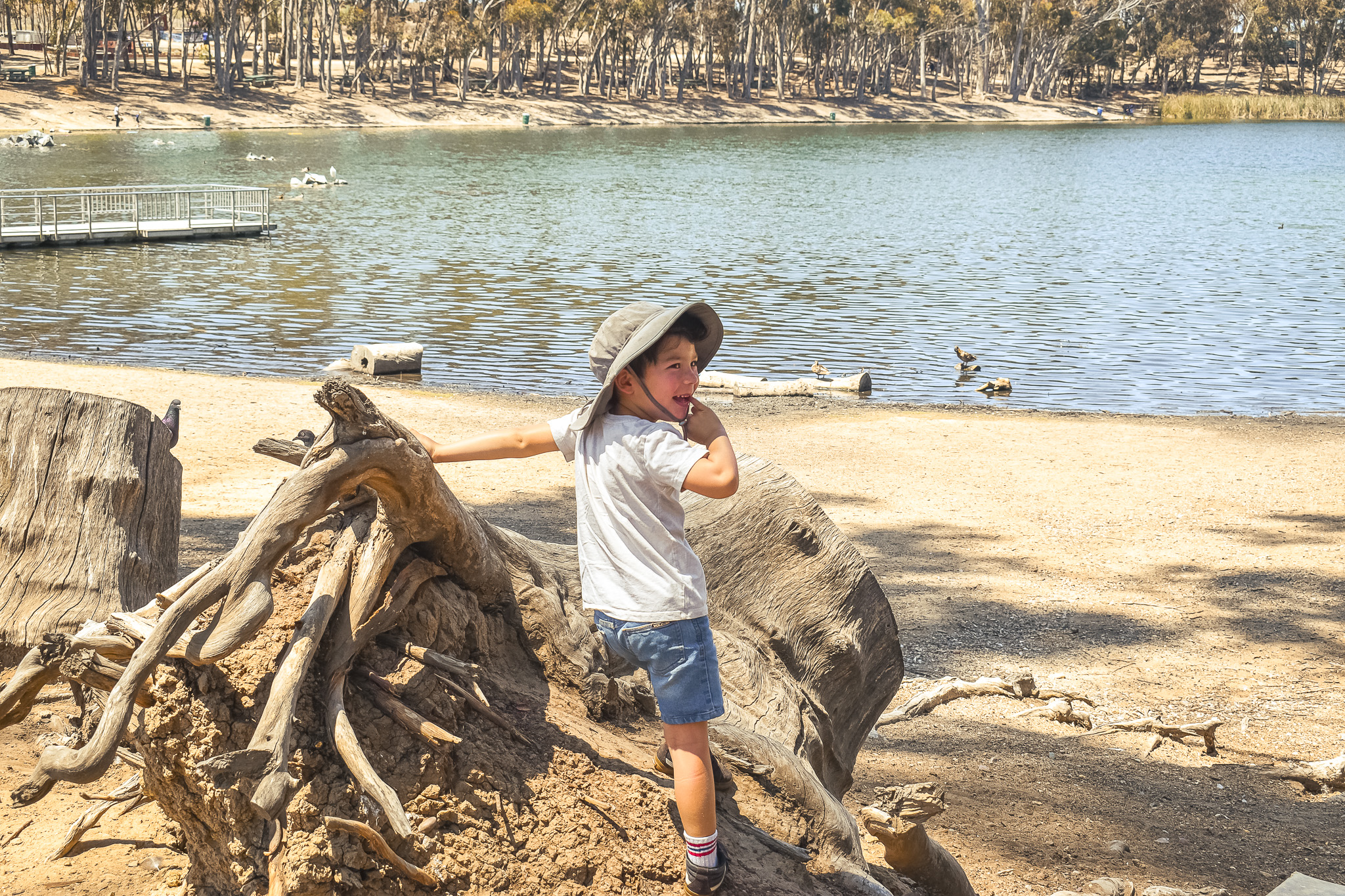 Child in a sun hat climbing on driftwood roots by a lake