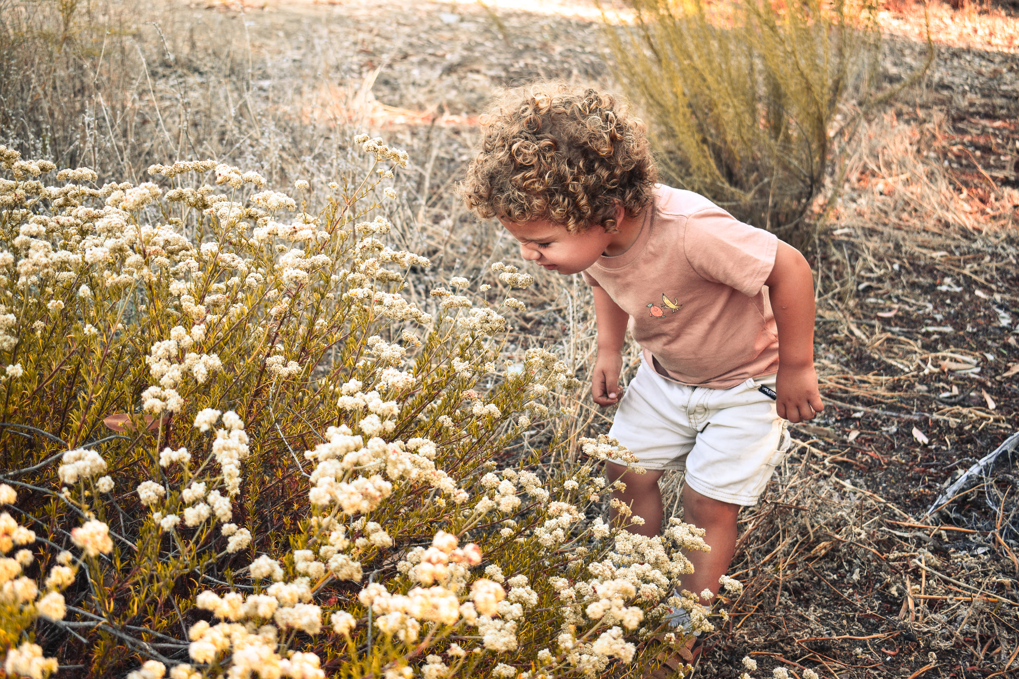 Young child with curly hair exploring wildflowers in golden afternoon light